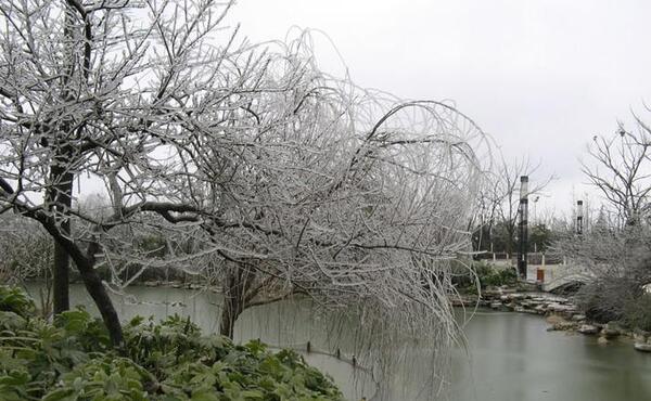عکس باران یخ