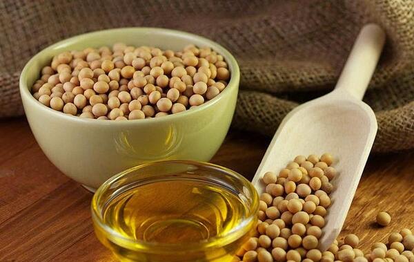 عکس سویا در ایران