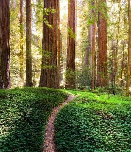 عکس طبیعت ساده و زیبا