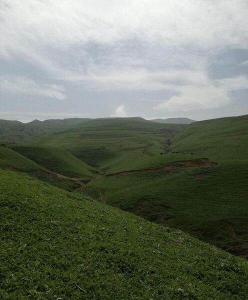عکس طبیعت ساده و زیبا