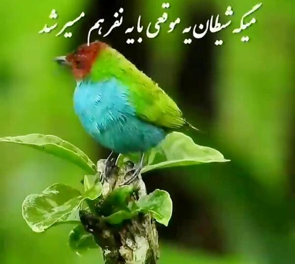 عکس از غار شیطان
