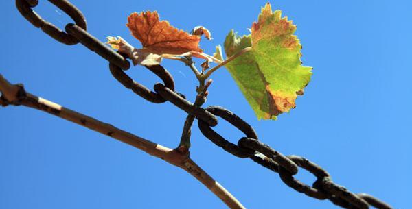 عکس محدثه خسروی