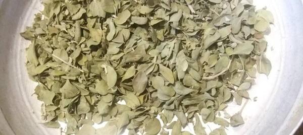 عکس پودر آویشن