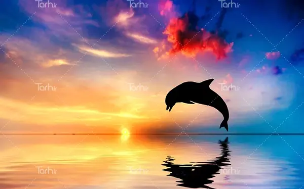 عکس بک گراند غروب خورشید