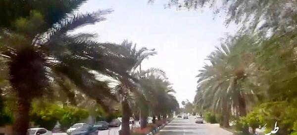 عکس هواپیماهای طبس