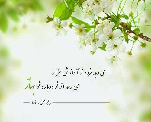 عکس پروفایل بهار عاشقانه