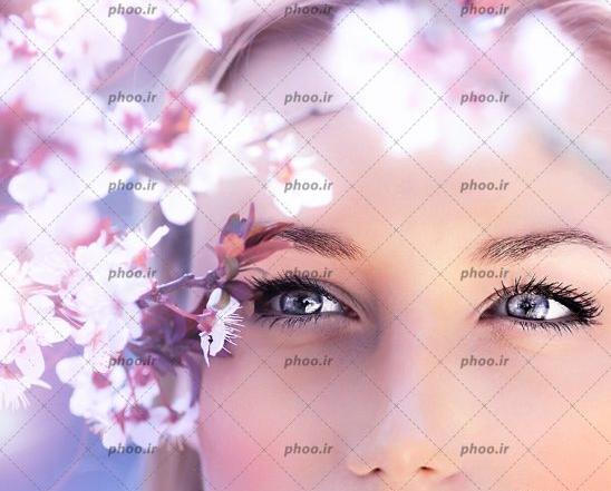 عکس چشم دختر طوسی