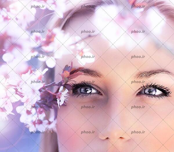 عکس چشم دختر طوسی