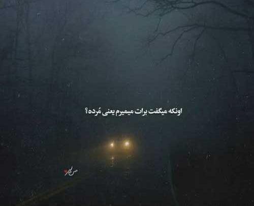 عکس تتودست پوبون