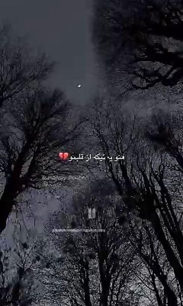 عکس تتودست پوبون