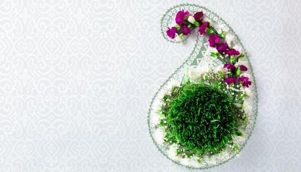 عکس سبزه زیبای عید