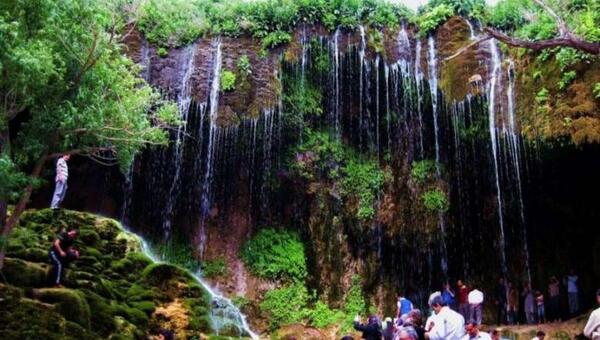 عکسهای جاهای سرسبز
