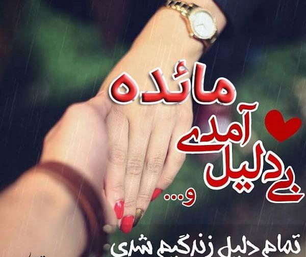 عکس نوشته مائده عاشقتم