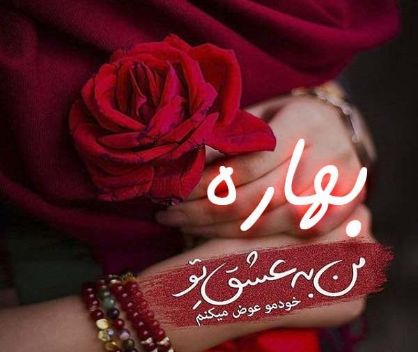 عکس نوشته مائده عاشقتم