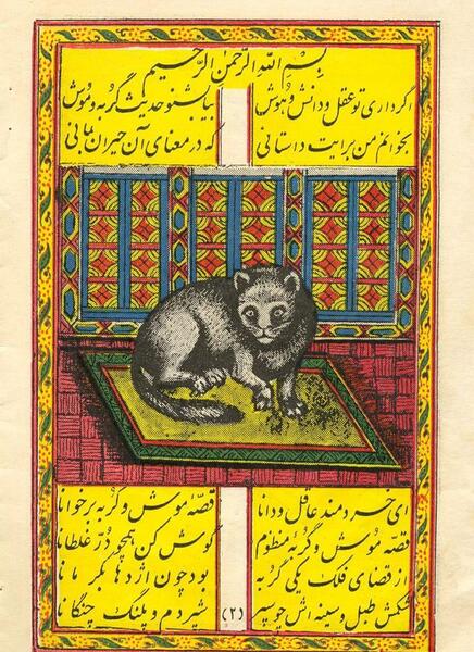عکس موش و گربه غمگین