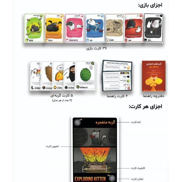 عکس بازی گربه