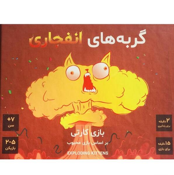 عکس بازی گربه