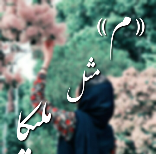 عکس نوشته ی شقایق دوستت دارم