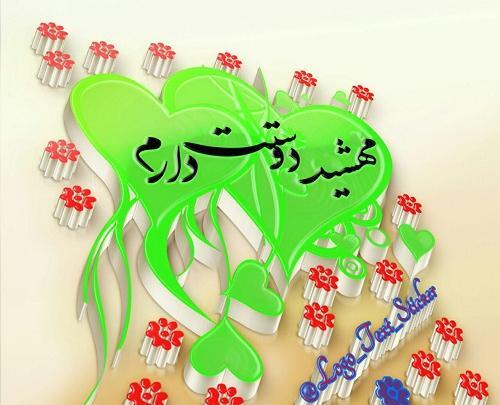 عکس نوشته ی شقایق دوستت دارم