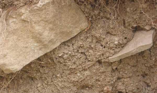 عکس سفید خانه دفینه
