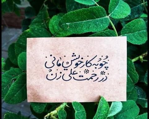 عکس پروفایل حضرت علی عید غدیر