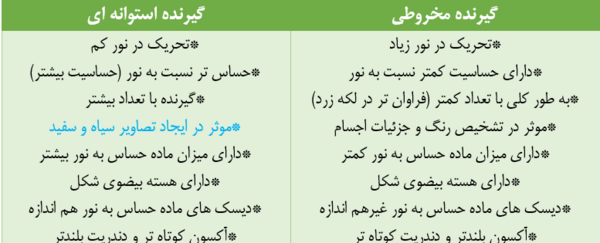عکس چشم یازدهم تجربی