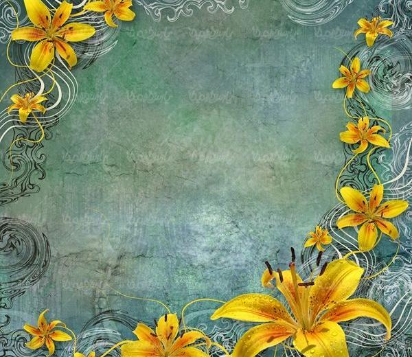 عکس بک گراند حاشیه دار