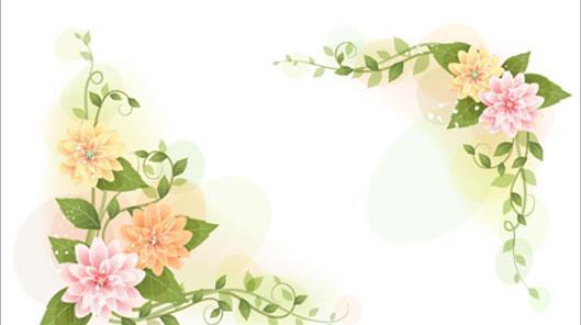 عکس بک گراند حاشیه دار