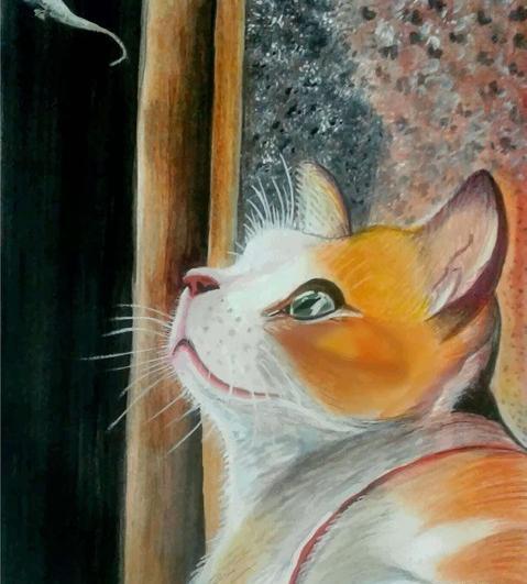 عکس طرح نقاشی گربه