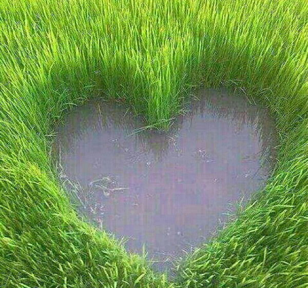عکس سیزده بدر مبارک