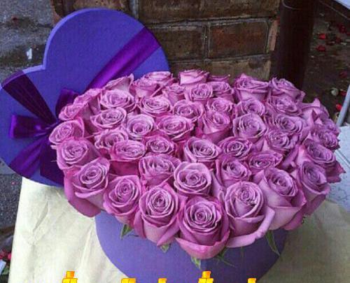 عکس نوشته آرزوی خوشبختی