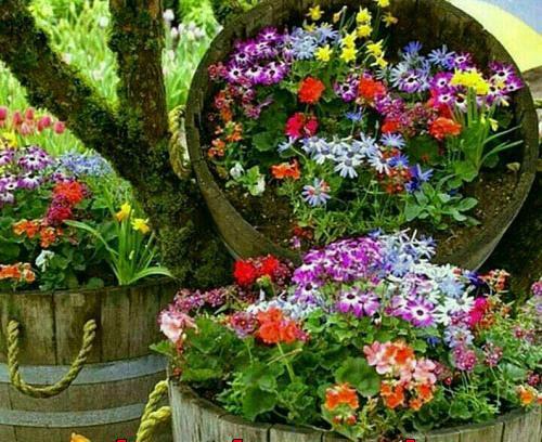 عکس نوشته آرزوی خوشبختی