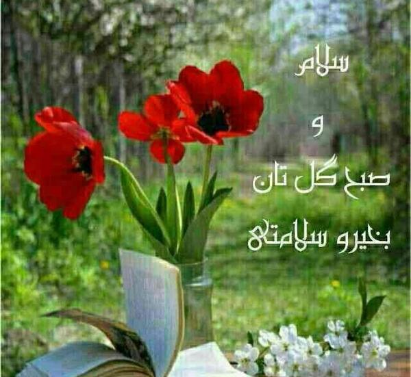عکس صبح بخیر و درود