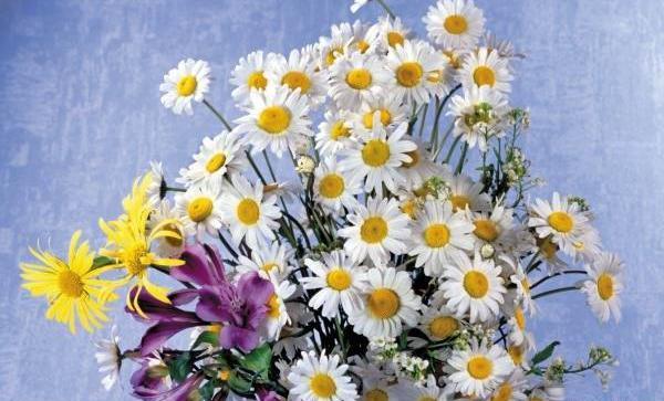 عکس طرح نقاشی با مداد رنگی گل