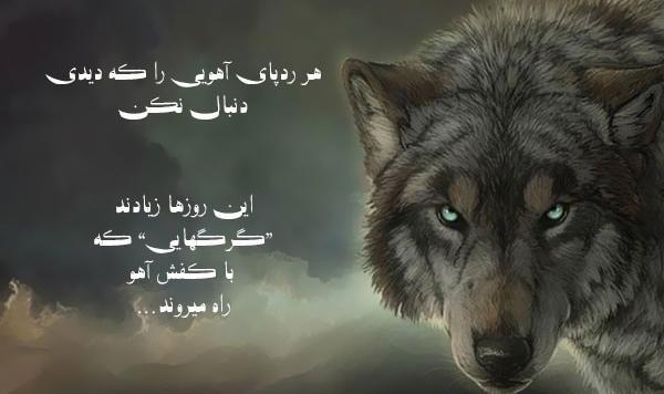 عکس نوشته انگلیسی گرگ