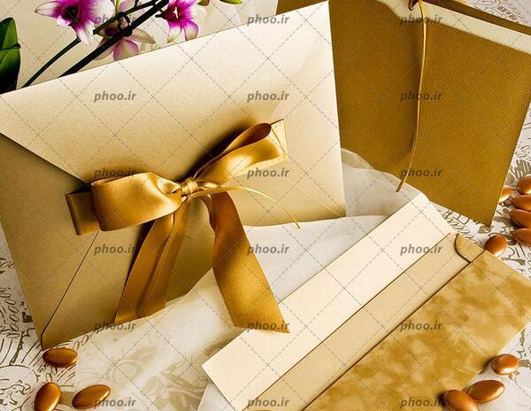 عکس های عروسی خواهر نعیمه نظام دوست