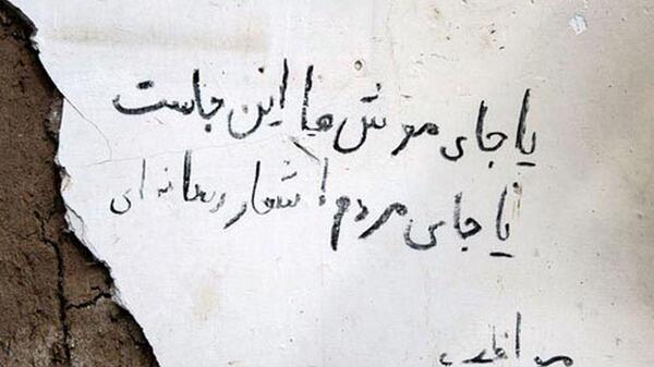 عکس موش در خانه