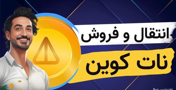 عکس موش در خانه