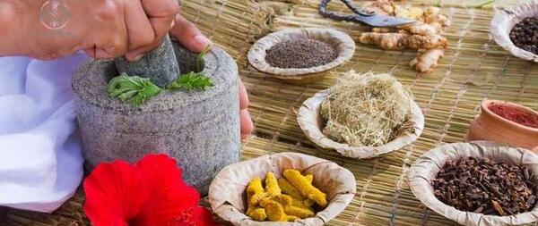 عکس بوته تریاک