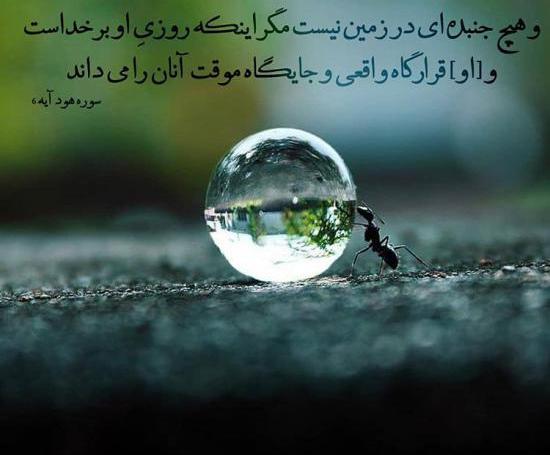 عکس نوشته علیرضا روزگار