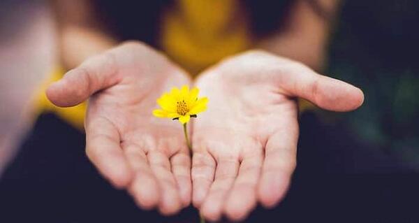 عکس نوشته درباره جشن عاطفه ها