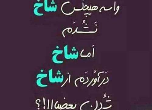 عکس نوشته پروفایل شاخ
