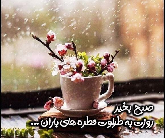 عکس صبح بخیر با گل نرگس