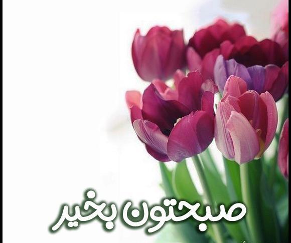 عکس صبح بخیر با گل نرگس