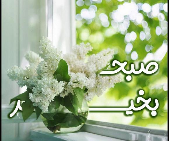عکس صبح بخیر با گل نرگس