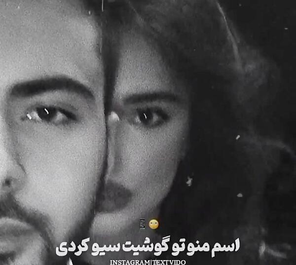 عکس های عاشقانه گربه ها