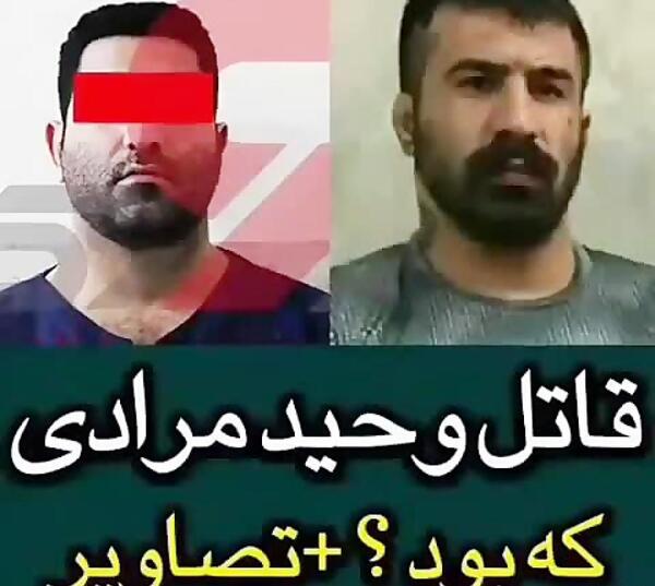 عکس عروسی وحید مرادی