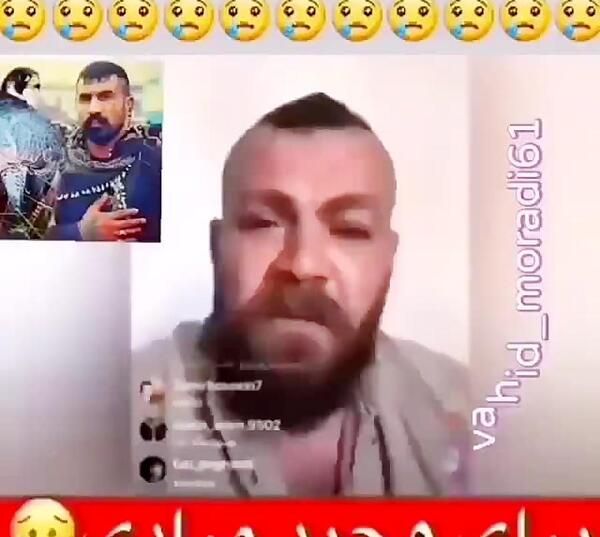 عکس عروسی وحید مرادی