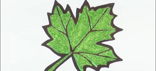 عکس برگ پاییزی بزرگ