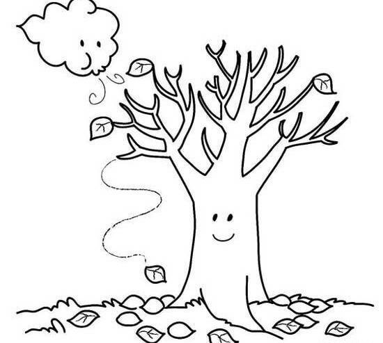 عکس برگ پاییزی بزرگ